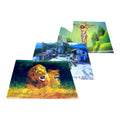 LAMINA 3D SURT