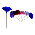 ROSA X 1 ETERNA