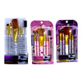 SET BROCHAS MAQUILLAJE X 5