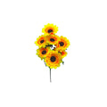GIRASOL X 7