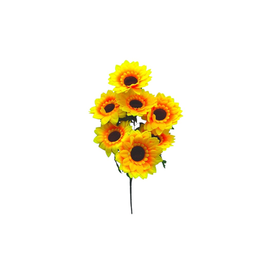 GIRASOL X 7