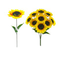 GIRASOL X 1