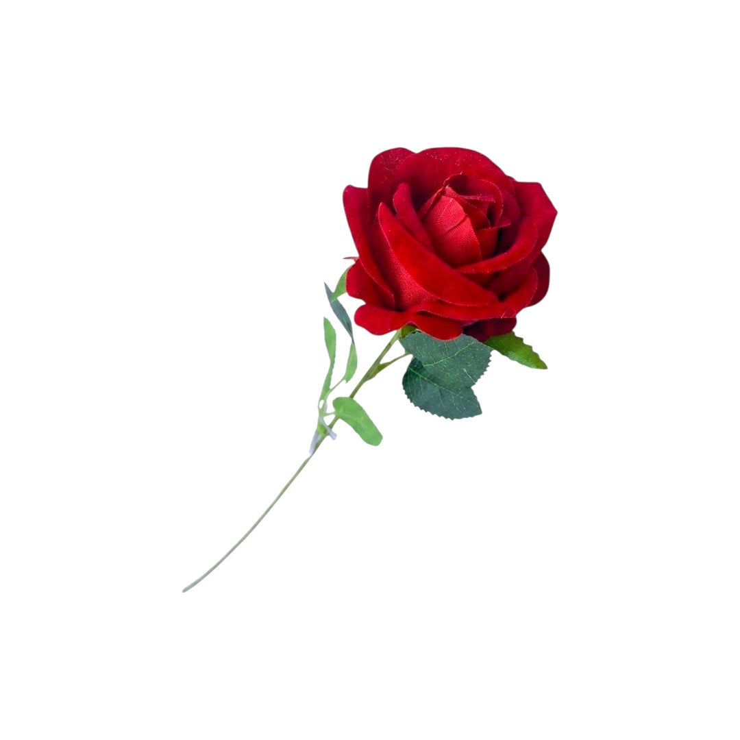 ROSA ROJA