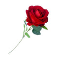 ROSA ROJA